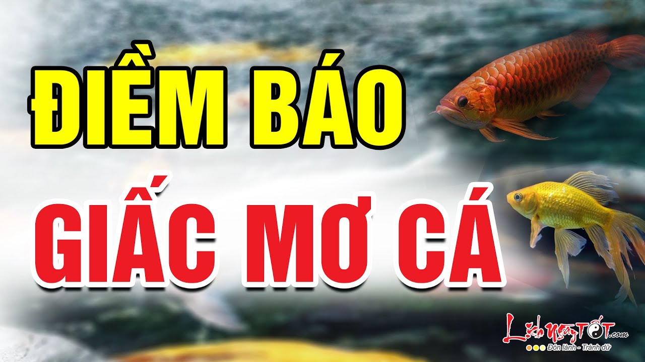 Tại sao giấc mơ thấy cá lại mang đến vận may tài chính?