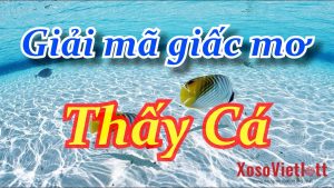 nằm mơ thấy cá